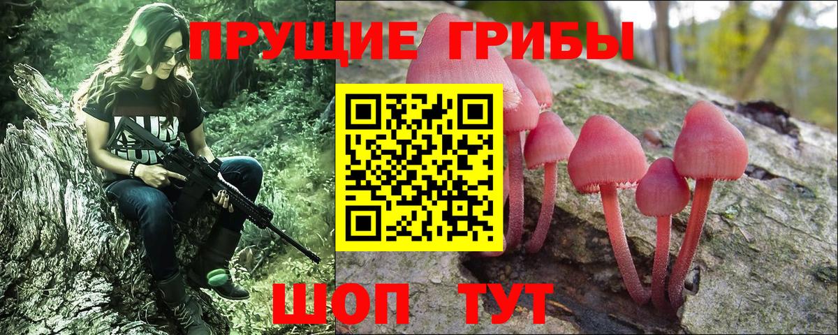 Галлюциногенные грибы Psilocybe Шахты