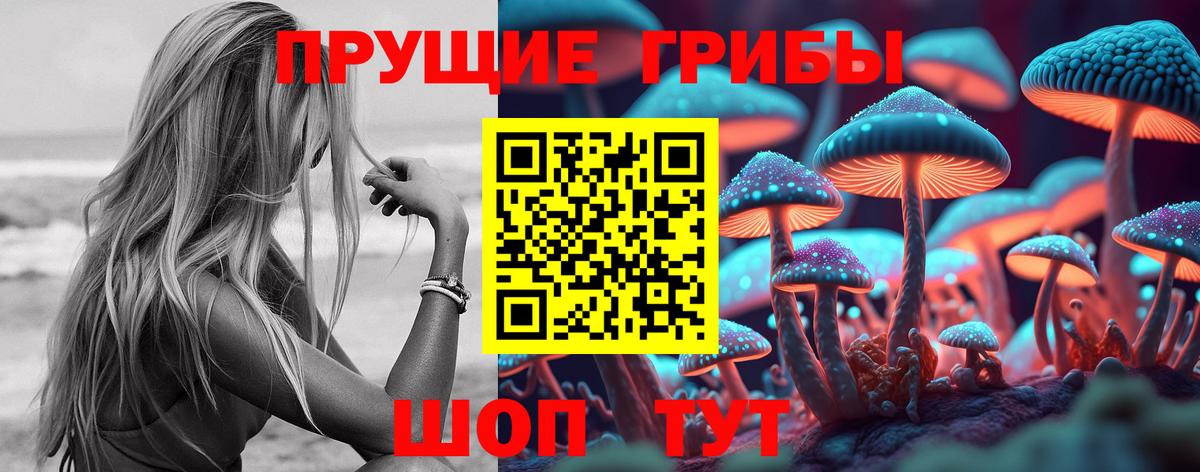 Шахты  Псилоцибиновые грибы мицелий  Вход с VPN  Псилоцибиновые грибы мицелий 
